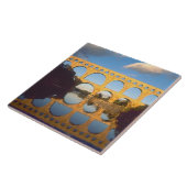 Carreau Pont du Gard, Gardon River, Gard, Languedoc, (Côté)