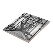 CARREAU PONT EN RUE DE NOIX - CHATTANOOGA, TN (Côté)