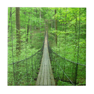 Carreau Pont suspendu