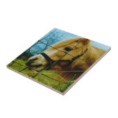 Carreau Pony miniature blond / Cheval Ciel bleu (Côté)