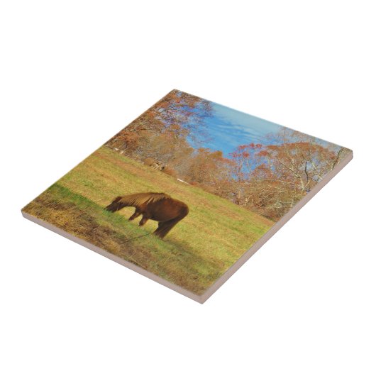 Carreau Pony miniature Brown (Côté)