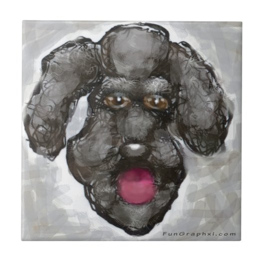 Carreau Poodle (Devant)
