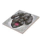 Carreau Poodle (Côté)