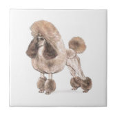 Carreau Poodle — Afficher le manteau (Devant)