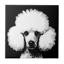 Poodle Pop Art Inspiré Retro Chic