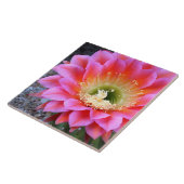 Carreau Pop de cactus rose (Côté)
