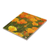 Carreau Poppies de Californie (Côté)