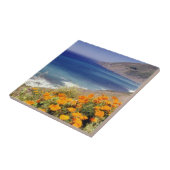 Carreau Poppies de Californie (Côté)