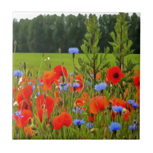 Carreau Poppies Et Fleurs De Cornouailles Paysage Réaliste