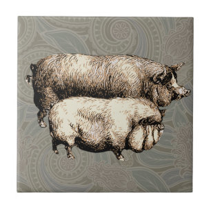 Carreau Porc de Ferme Vintage Antiquités de Bétail de Camp