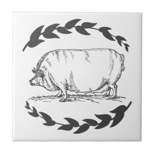Carreau Porc et lauriers gris de truie de ferme
