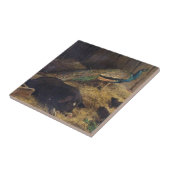 Carreau Porcs et paon par le coiffeur de Charles Burton en (Côté)