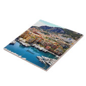 Carreau Port de Monaco (Côté)