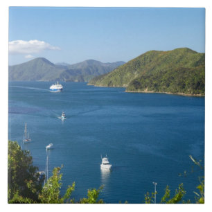 Carreau Port de Picton, Marlborough Sounds, Sud