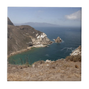 Carreau Port de pommes de terre