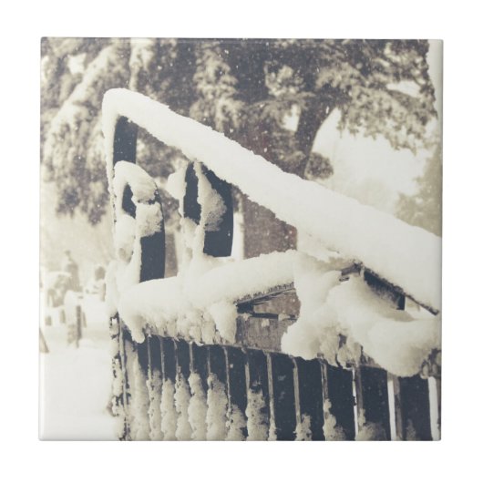 Carreau Porte de cime d'hiver (Devant)