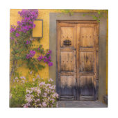 Carreau Porte en bois (Devant)