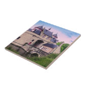 Carreau Porte historique de la ville à Bruges (Côté)