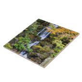 Carreau Portland, Orégon (Côté)