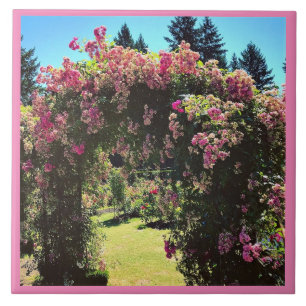 Carreau Portland Rose Garden