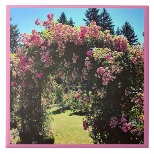 Carreau Portland Rose Garden (Devant)
