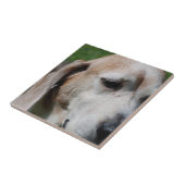 Carreau Portrait (Côté)