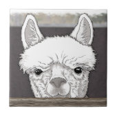 Carreau Portrait d'Alpaca (Devant)
