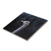 Carreau portrait d'autruche (Côté)