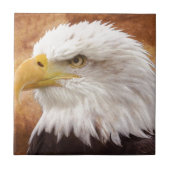 Carreau Portrait de Bald Eagle (Devant)