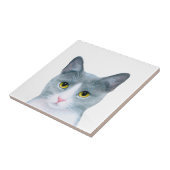 Carreau Portrait de chat gris 611 (Côté)
