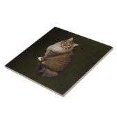 Carreau Portrait de chat Maine Coon (Côté)