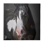Carreau Portrait de cheval II<br><div class="desc">Animaux</div>