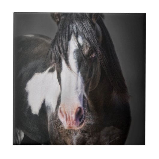 Carreau Portrait de cheval II (Devant)