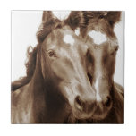 Carreau Portrait de cheval III<br><div class="desc">Animaux</div>