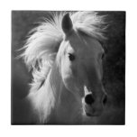 Carreau Portrait de cheval V<br><div class="desc">Animaux</div>