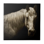 Carreau Portrait de cheval VI<br><div class="desc">Animaux</div>