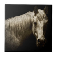 Portrait de cheval VI