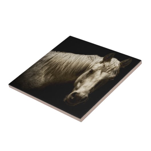 Carreau Portrait de cheval VI (Côté)