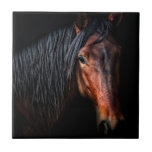 Carreau Portrait de cheval VII<br><div class="desc">Animaux</div>