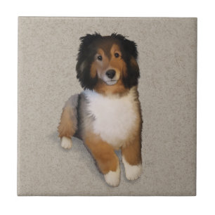 Carreau Portrait de chien mélange Sheltie