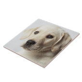 Carreau Portrait de chiot blond de labrador retriever (Côté)