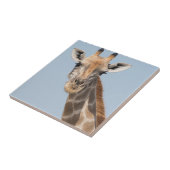 Carreau Portrait de girafe angolais (Côté)
