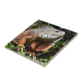 Carreau Portrait de l'iguane vert (Côté)