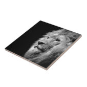 Carreau Portrait de Lion noir blanc - Photographie d'anima (Côté)