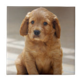 Carreau Portrait de marionnette (Devant)