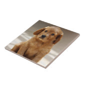 Carreau Portrait de marionnette (Côté)