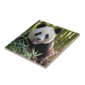 Carreau Portrait de panda souriant (Côté)