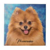 Carreau Portrait de Poméranie sur Arrière - plan Abstrait (Devant)