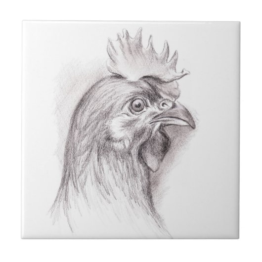 Carreau Portrait de poulet au charbon (Devant)