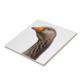 Carreau Portrait d'oie (Côté)